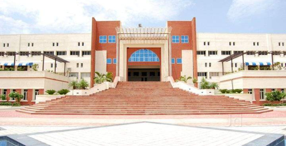 Untitled design (49)_1205.png